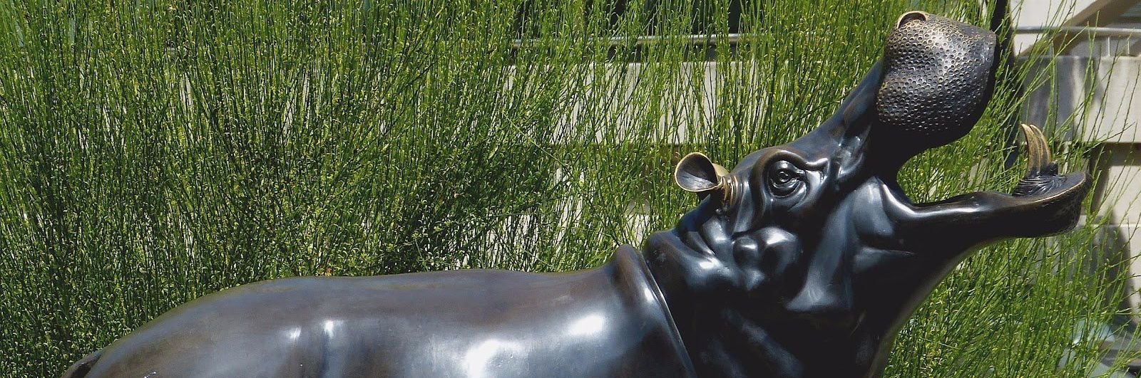 condos for sale near foggy bottom metro